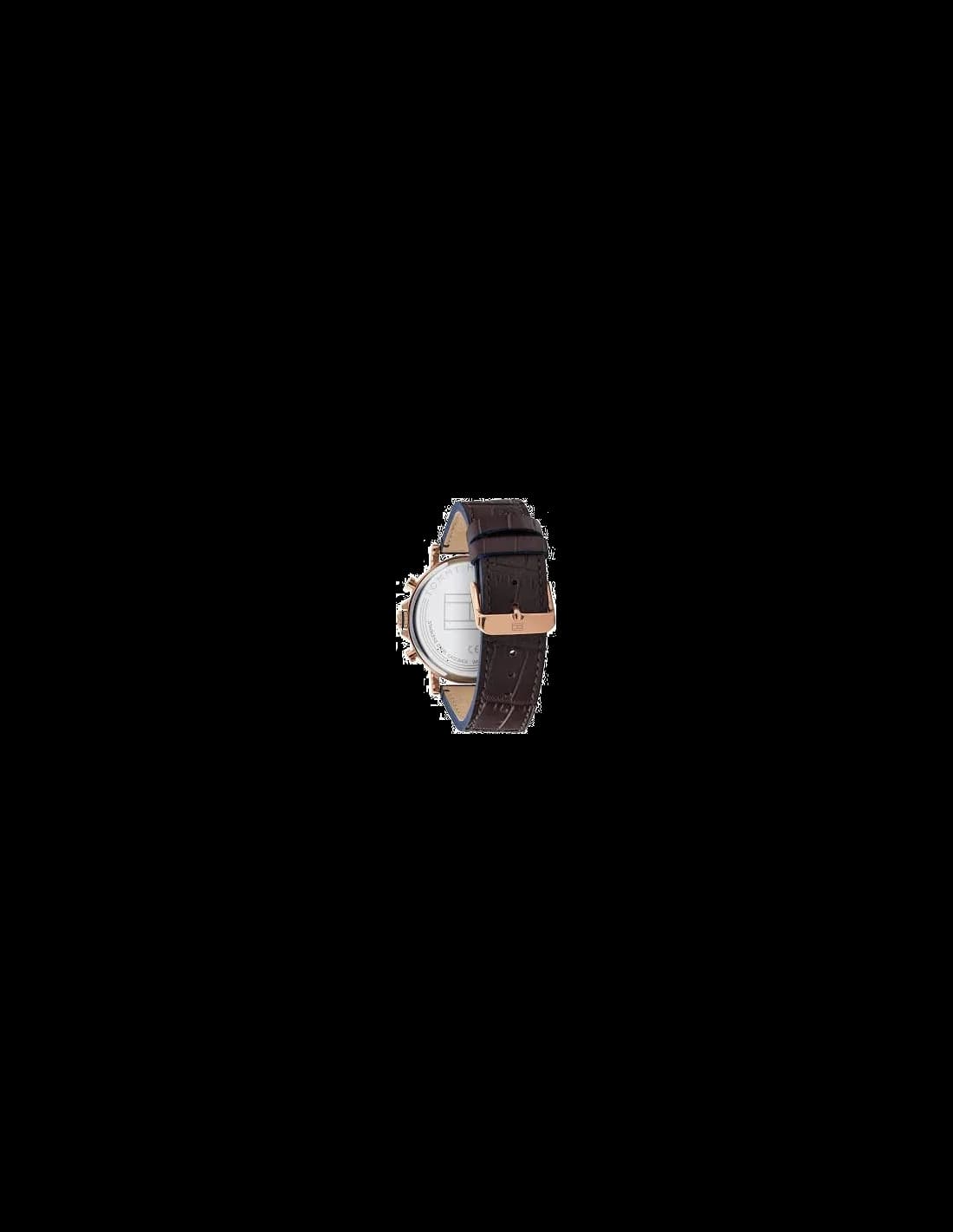 Montre Tommy Hilfiger 1710418 homme vue de profil