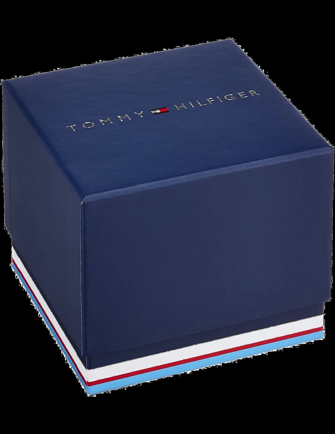 Montre Tommy Hilfiger 1791505 homme détail cadran bleu